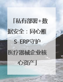 私有部署+数据安全：同心雁S-ERP守护医疗器械企业核心资产