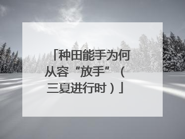 种田能手为何从容“放手”（三夏进行时）