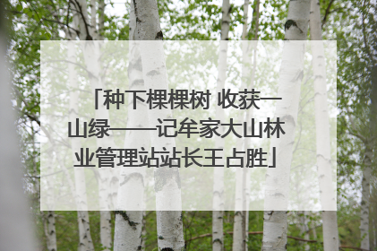 种下棵棵树 收获一山绿——记牟家大山林业管理站站长王占胜