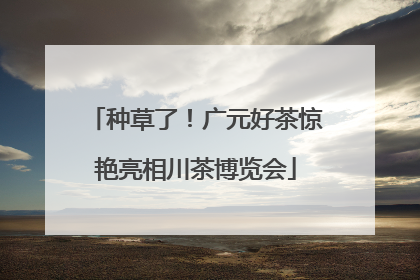 种草了！广元好茶惊艳亮相川茶博览会