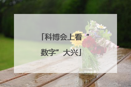 科博会上看“数字”大兴