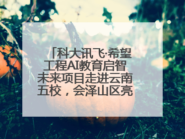 科大讯飞·希望工程AI教育启智未来项目走进云南五校，会泽山区亮起科技星火