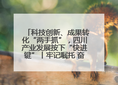 科技创新、成果转化“两手抓”，四川产业发展按下“快进键”丨牢记嘱托 奋力打造两高地两基地一屏障