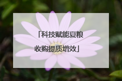 科技赋能夏粮收购提质增效