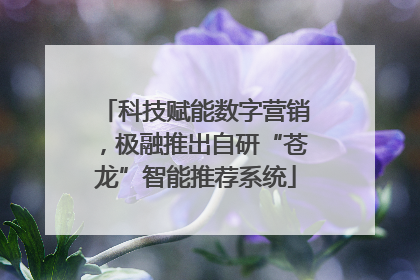 科技赋能数字营销，极融推出自研“苍龙”智能推荐系统