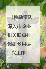 秧励带队深入市政协机关联点村调研乡村振兴工作