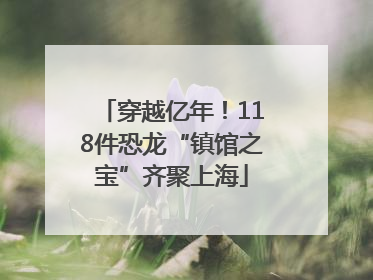 穿越亿年！118件恐龙“镇馆之宝”齐聚上海