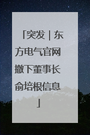 突发｜东方电气官网撤下董事长俞培根信息
