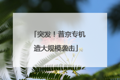 突发！普京专机遭大规模袭击