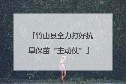 竹山县全力打好抗旱保苗“主动仗”