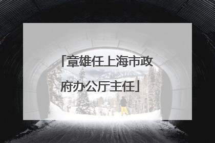章雄任上海市政府办公厅主任
