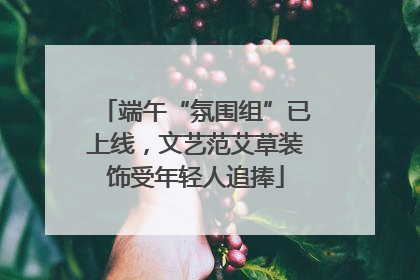 端午“氛围组”已上线，文艺范艾草装饰受年轻人追捧