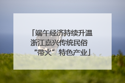 端午经济持续升温 浙江嘉兴传统民俗“带火”特色产业