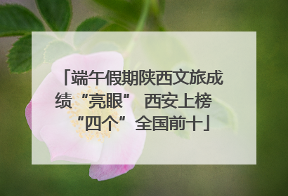 端午假期陕西文旅成绩“亮眼” 西安上榜“四个”全国前十