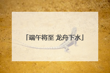 端午将至 龙舟下水