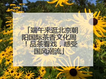 端午来逛北京朝阳国际茶香文化周！品茶看戏，感受国风潮流