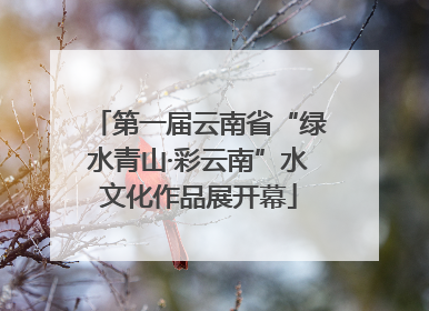 第一届云南省“绿水青山·彩云南”水文化作品展开幕