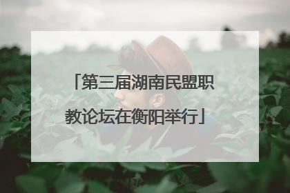 第三届湖南民盟职教论坛在衡阳举行