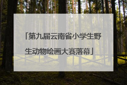 第九届云南省小学生野生动物绘画大赛落幕