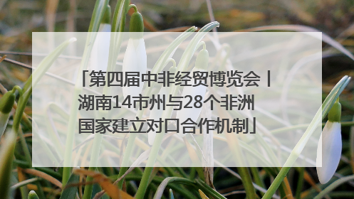 第四届中非经贸博览会丨湖南14市州与28个非洲国家建立对口合作机制
