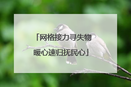 网格接力寻失物 暖心速归抚民心