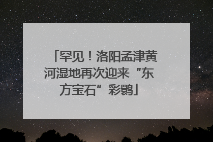 罕见！洛阳孟津黄河湿地再次迎来“东方宝石”彩鹮