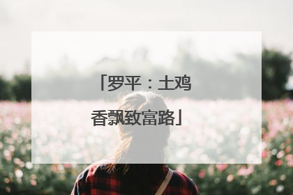罗平：土鸡香飘致富路