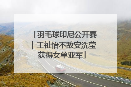 羽毛球印尼公开赛｜王祉怡不敌安洗莹 获得女单亚军