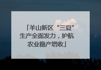 羊山新区“三夏”生产全面发力，护航农业稳产增收