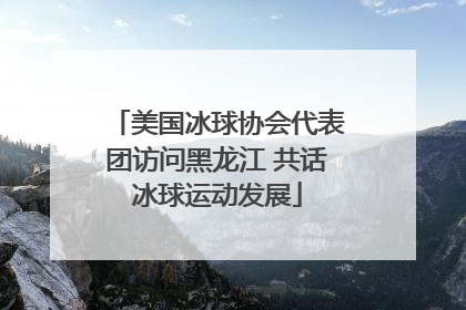 美国冰球协会代表团访问黑龙江 共话冰球运动发展