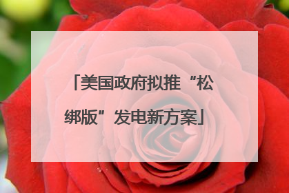 美国政府拟推“松绑版”发电新方案