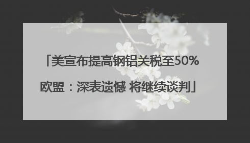 美宣布提高钢铝关税至50% 欧盟：深表遗憾 将继续谈判