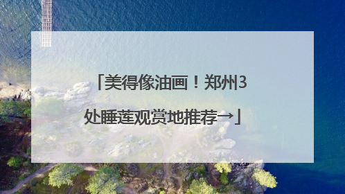 美得像油画！郑州3处睡莲观赏地推荐→