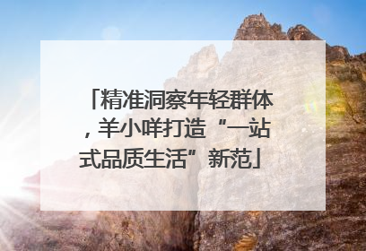 精准洞察年轻群体，羊小咩打造“一站式品质生活”新范
