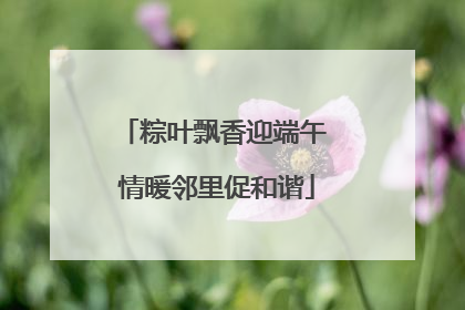 粽叶飘香迎端午 情暖邻里促和谐
