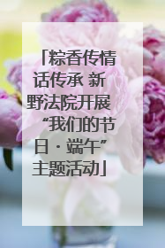 粽香传情话传承 新野法院开展“我们的节日・端午”主题活动
