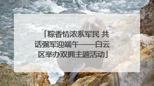 粽香情浓系军民 共话强军迎端午——白云区举办双拥主题活动