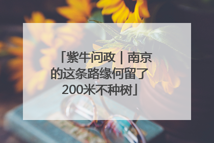 紫牛问政｜南京的这条路缘何留了200米不种树