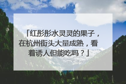红彤彤水灵灵的果子，在杭州街头大量成熟，看着诱人但能吃吗？