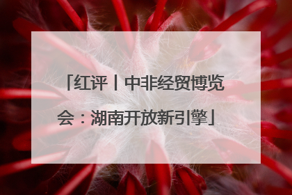红评丨中非经贸博览会：湖南开放新引擎