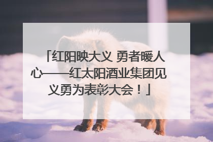 红阳映大义 勇者暖人心——红太阳酒业集团见义勇为表彰大会！