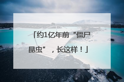 约1亿年前“僵尸昆虫”，长这样！