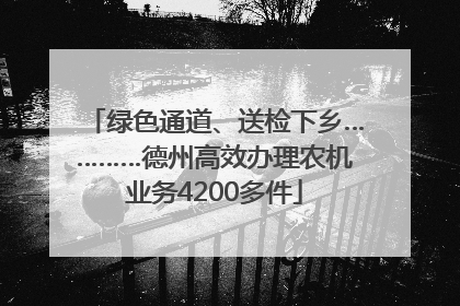 绿色通道、送检下乡…………德州高效办理农机业务4200多件