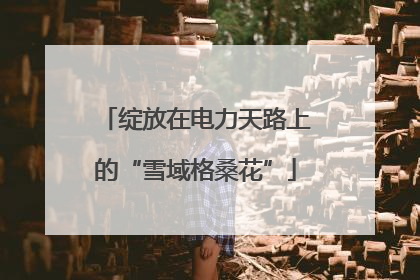 绽放在电力天路上的“雪域格桑花”