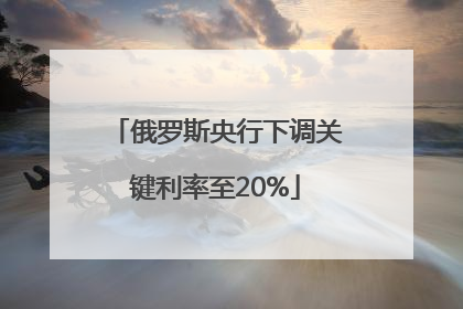 俄罗斯央行下调关键利率至20%