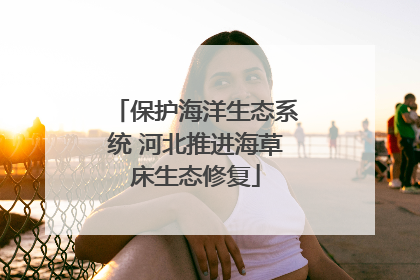 保护海洋生态系统 河北推进海草床生态修复