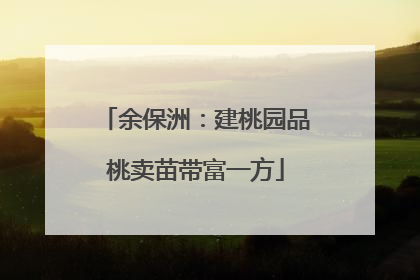 余保洲：建桃园品桃卖苗带富一方