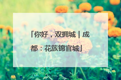 你好，双拥城｜成都：花簇锦官城