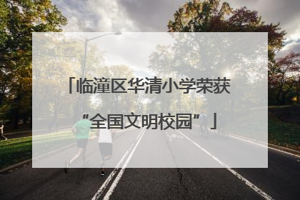 临潼区华清小学荣获“全国文明校园”