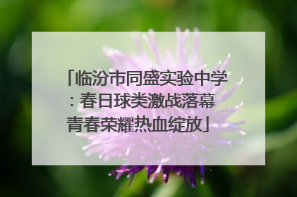 临汾市同盛实验中学：春日球类激战落幕 青春荣耀热血绽放